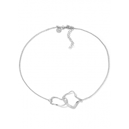 BOB ROSS S ZILVER CL