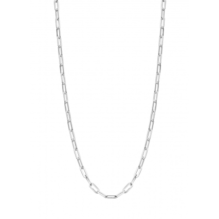 PAPERCLIP ZILVER CL