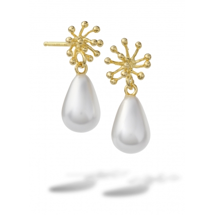 PORCU DROP WHITE GOUD OH